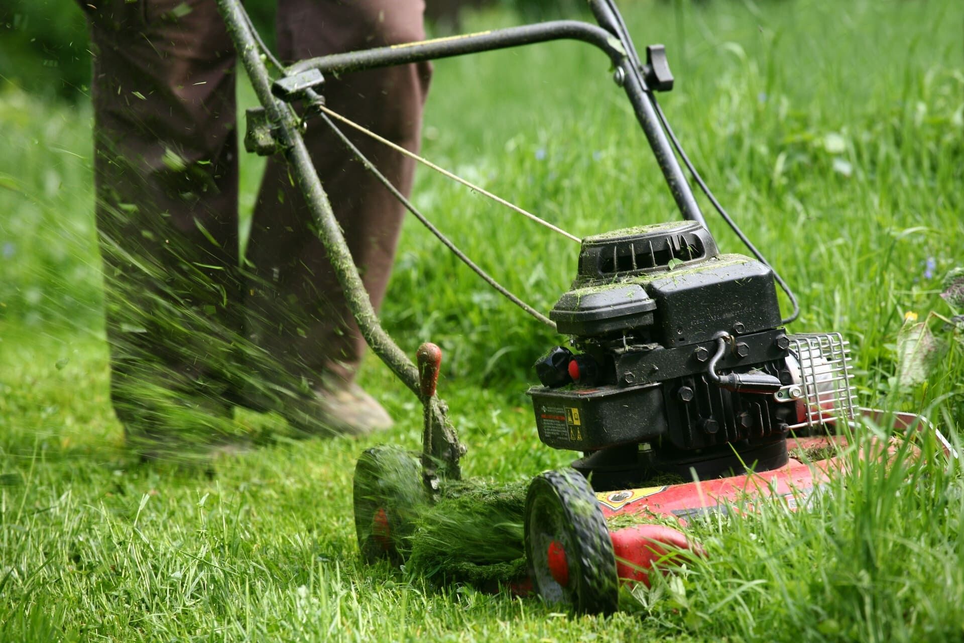AdobeStock_22998527