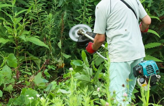 除草は将来的な事も考えて総合的に行うのが最適です | 奈良にも出張する伐採など庭の手入れに強いカネゼン