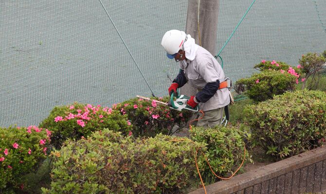 植え込みを手入れするスタッフ