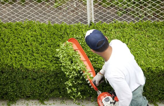 庭木の状態を的確に見極め最適なお手入れ | 奈良にも出張する伐採など庭の手入れに強いカネゼン