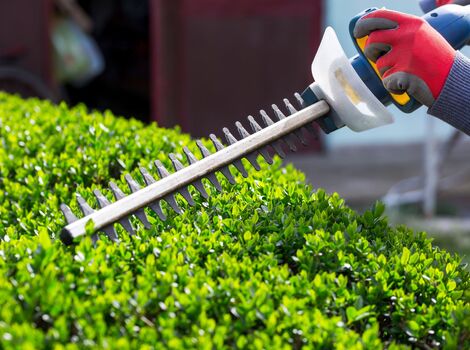 AdobeStock_81681672